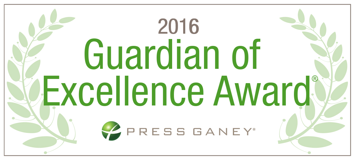 2016 Guardian of Excellence Award