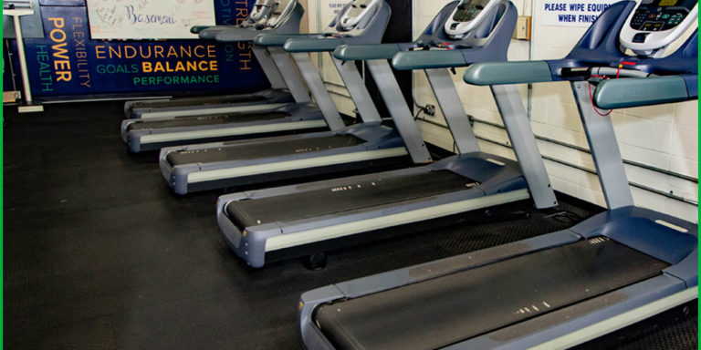 BH LR Treadmills with grn stripe