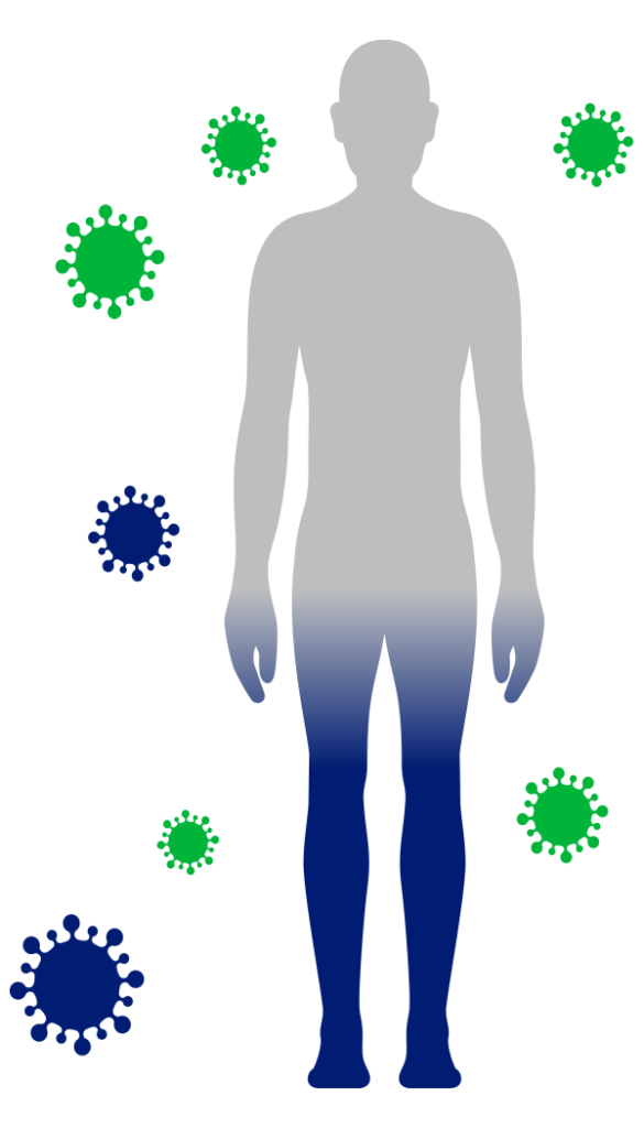 What coronavirus does to the body: COVID infection process, symptoms