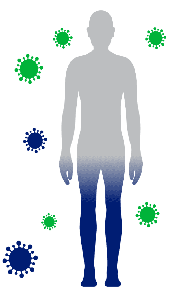 What coronavirus does to the body: COVID infection process, symptoms