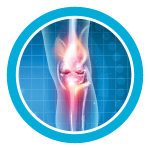 BH-Mako_web-graphics-knee